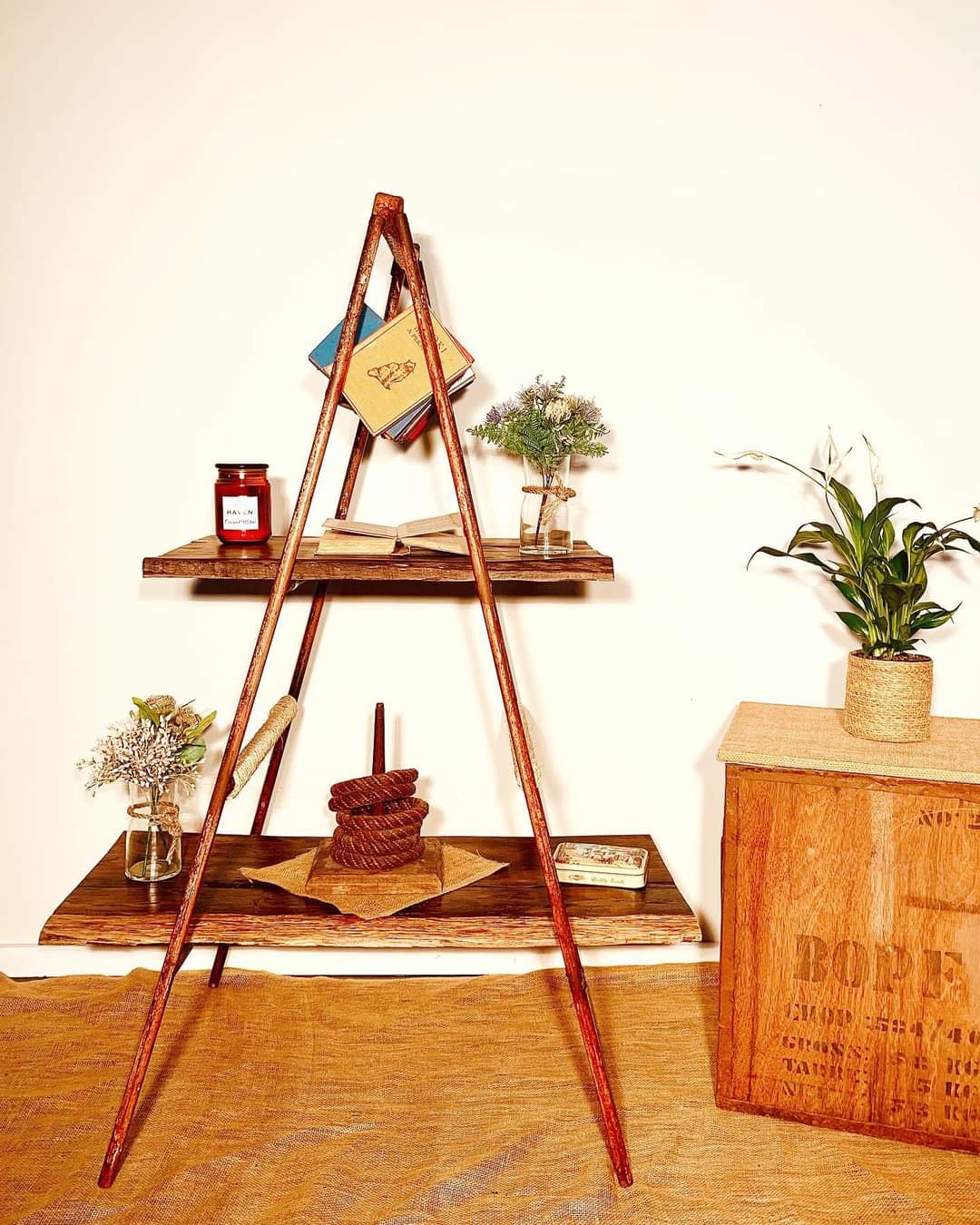 Reclaimed timber Shelving with vintage apple picking ladder.